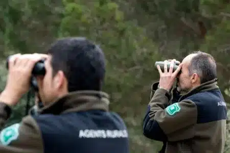 Agentes de Medio Ambiente desmantelan una red de furtivos que organizaba rutas guiadas para abatir sarrios y ciervos en Lérida