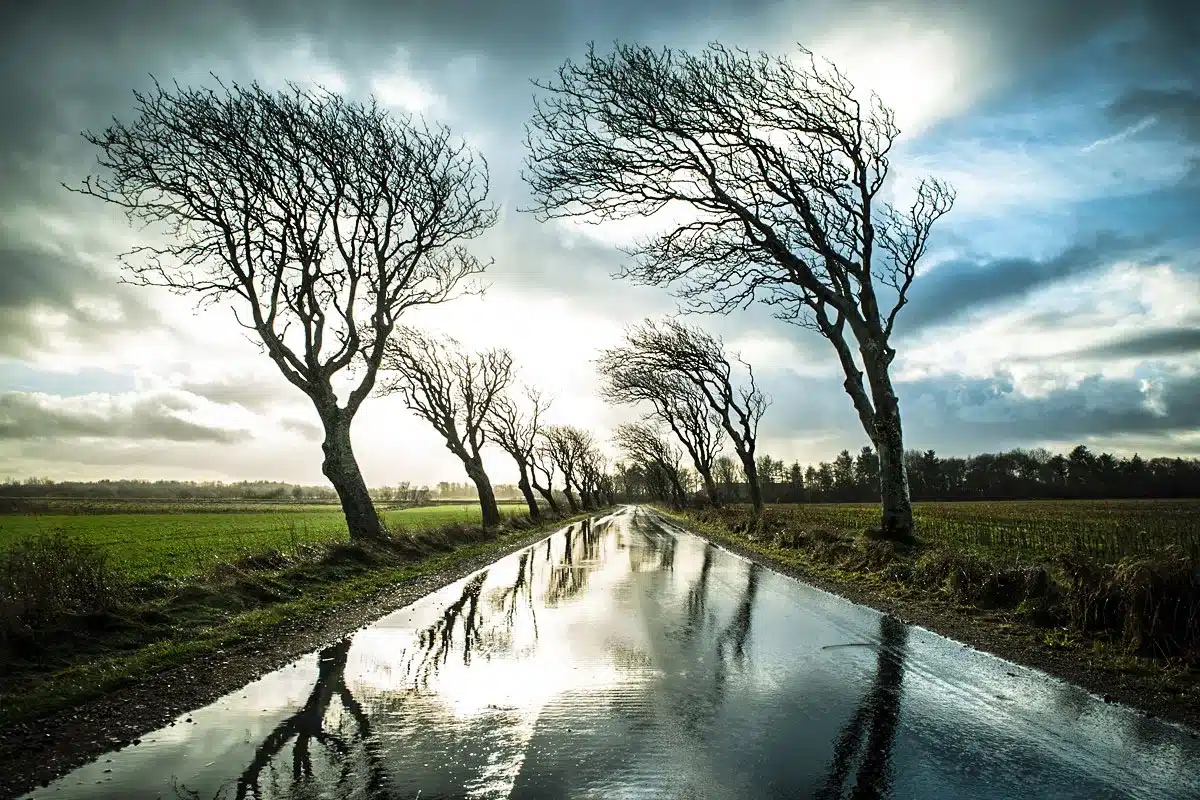 alerta castilla y leon
