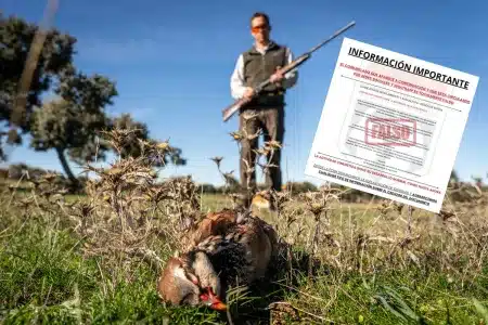 Cazador de perdices.