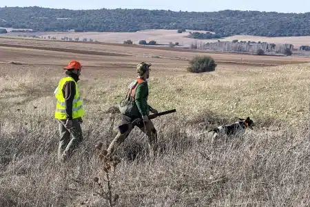 caza menor con perro