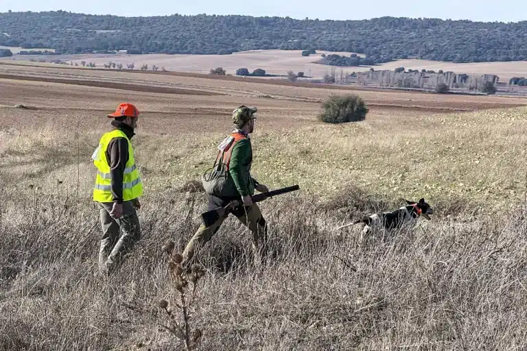 caza menor con perro