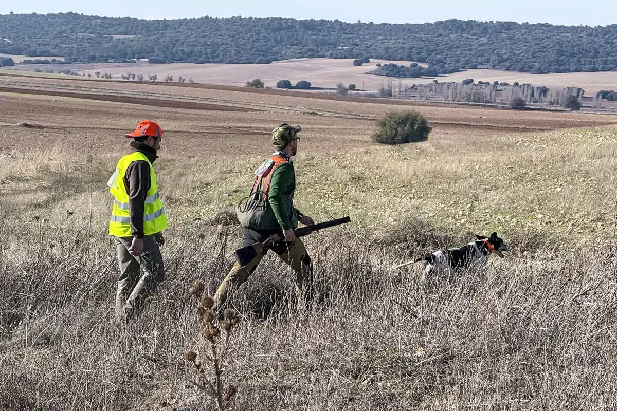 caza menor con perro