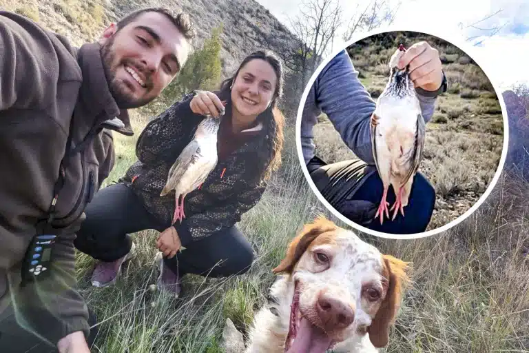 cazan perdiz blanca Teruel