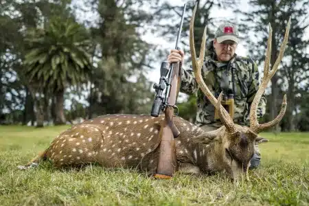 Así es la caza del ciervo axis en Argentina: tradición, fuego y mate