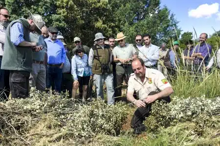 control depredadores guarda