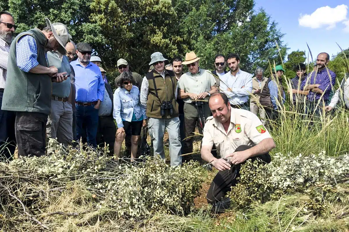 control depredadores guarda