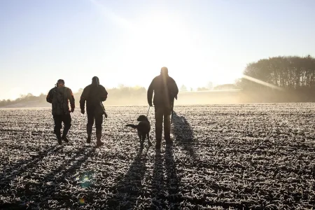 Enterrar perros caza Aragón