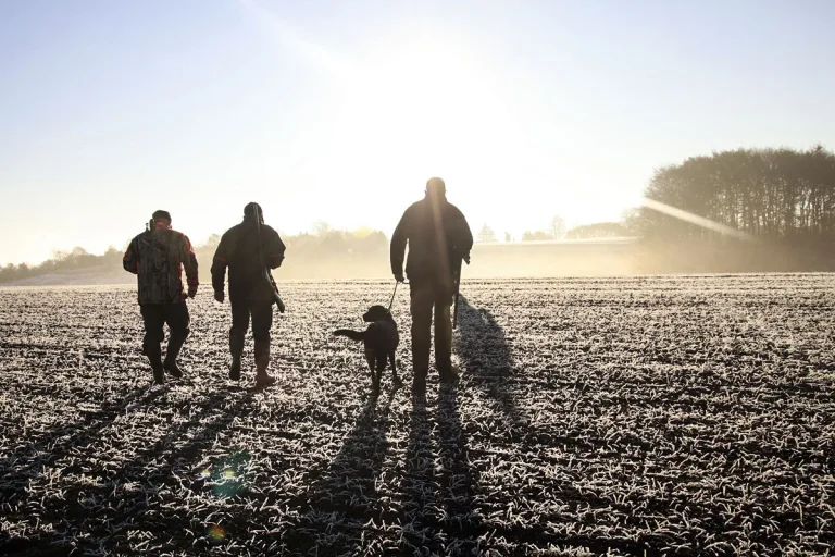 Enterrar perros caza Aragón