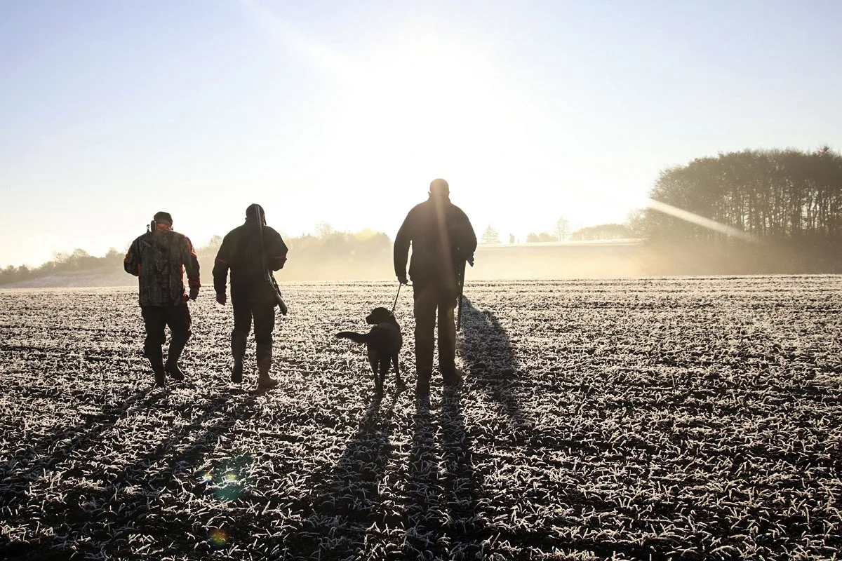 Enterrar perros caza Aragón