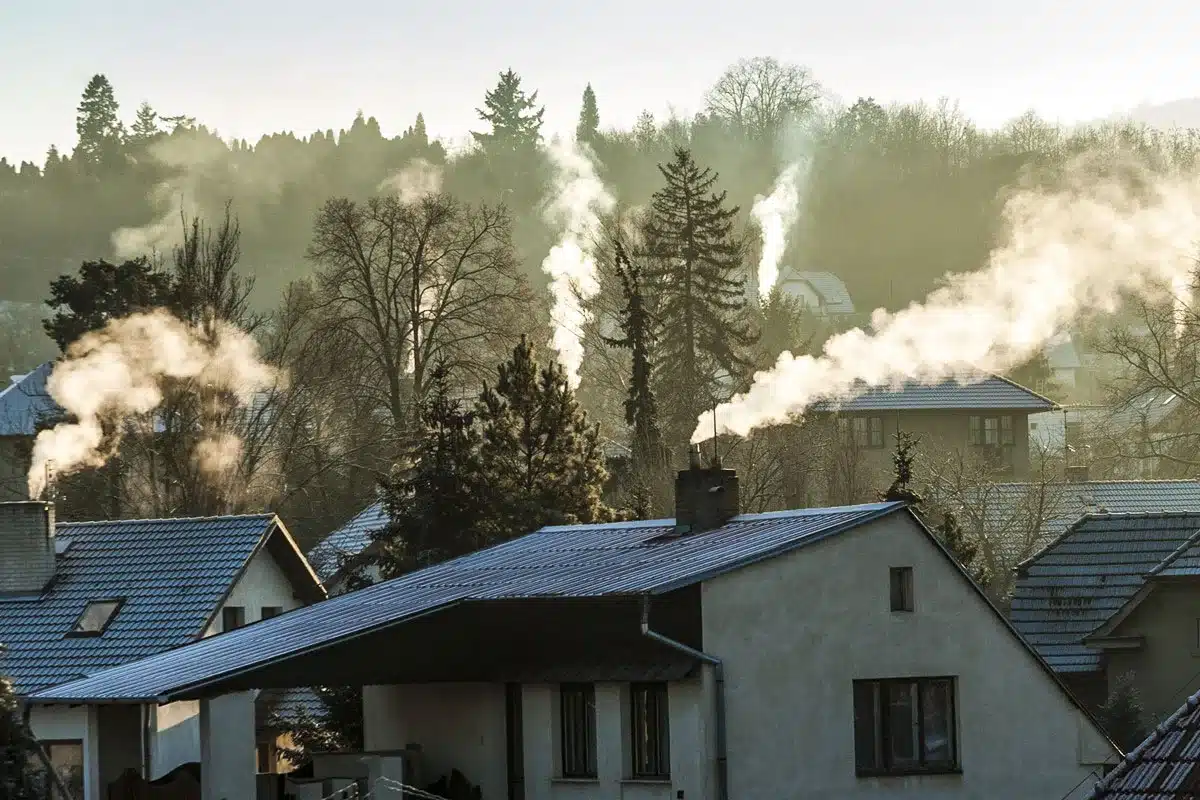 Europa prohibir calderas leña
