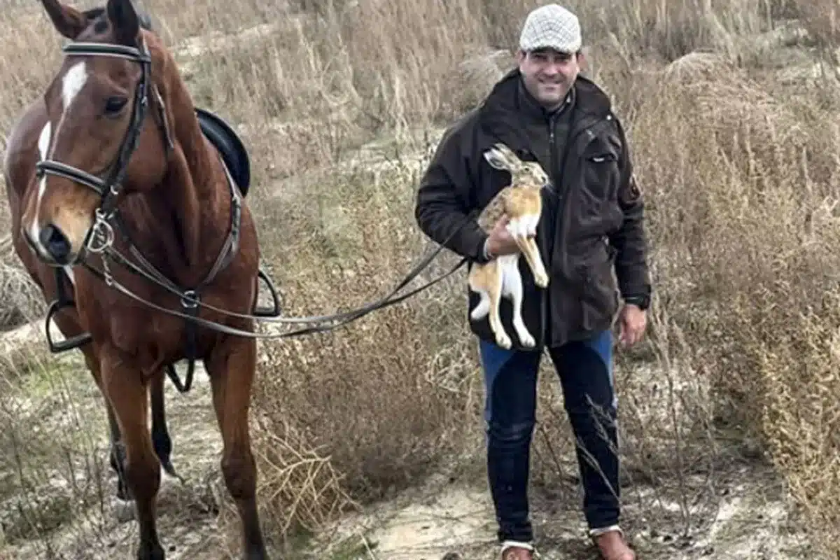 galgueros respetan liebre tras carrerón
