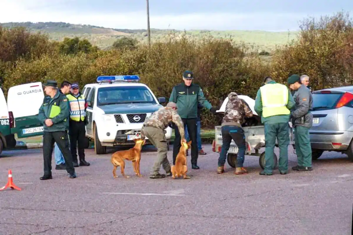 © Noticias Ciudad Rodrigo