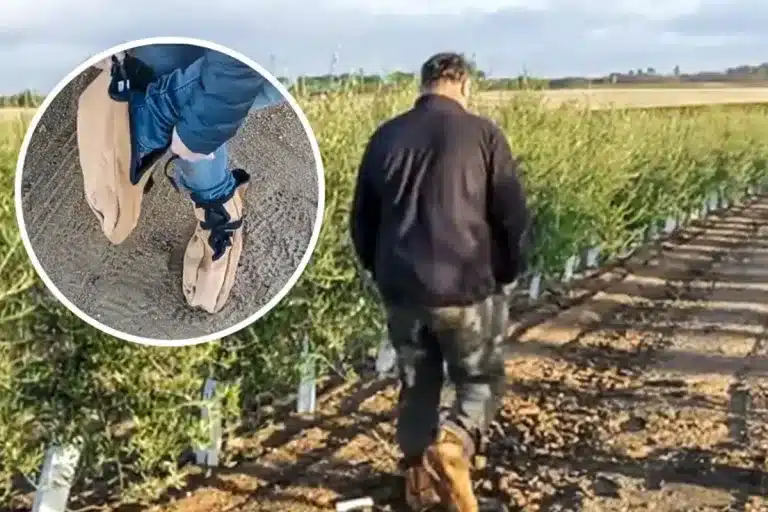 invento andaluz barro