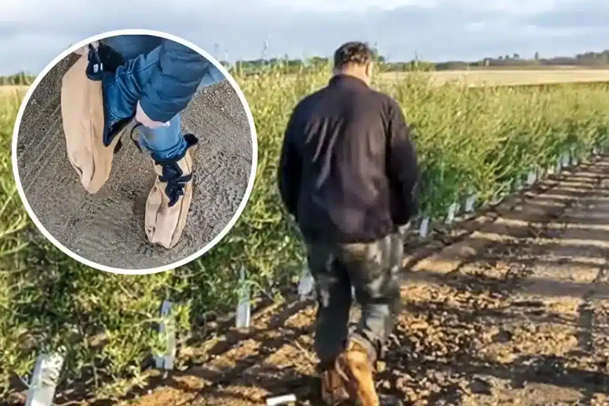 invento andaluz barro