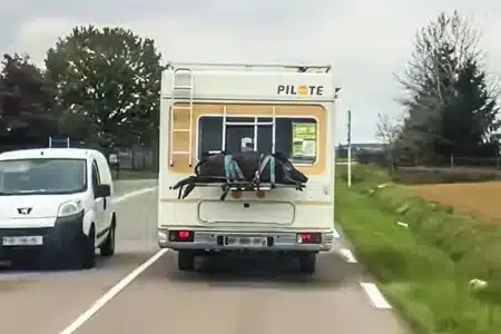 jabalí autocaravana