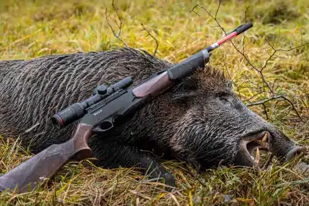 Jabalí con corredera.