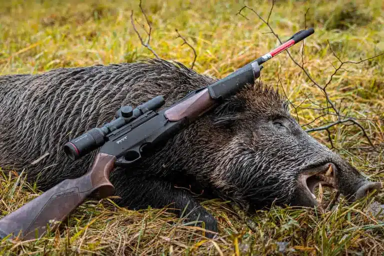 Jabalí con corredera.