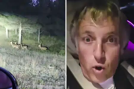 Jesús Calleja confunde ciervos con corzos