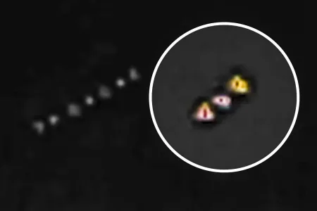 llegan aves migratorias España