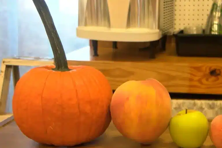 Melocotón más grande del mundo