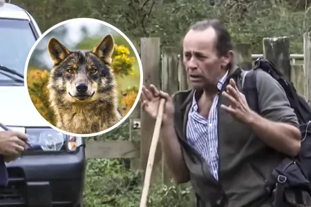 Pastor pide armas protegerse lobos