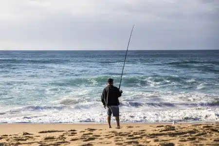pescadores obligados registrar capturas enero