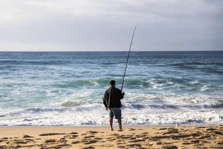 pescadores obligados registrar capturas enero