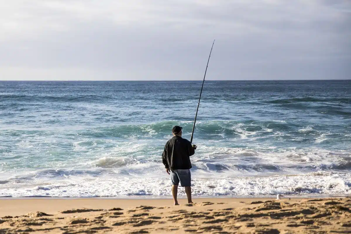 pescadores obligados registrar capturas enero
