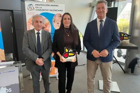 Premio medio ambiente