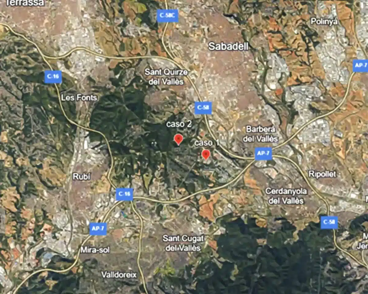 Peste porcina africana Barcelona