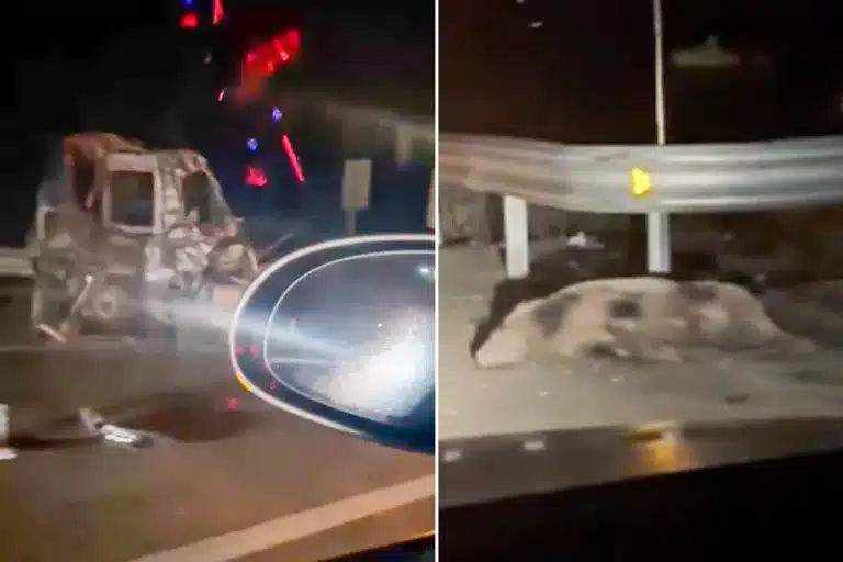 Imágenes del accidente.