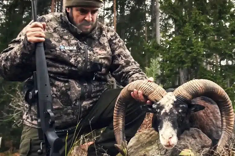 Blaser R8 muflón oro