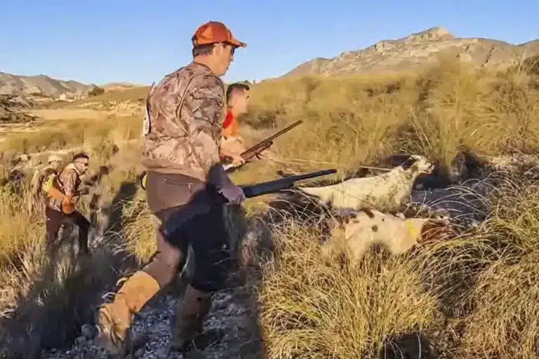 campeón España caza menor con perro 2025
