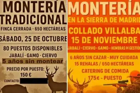 estafador monterías