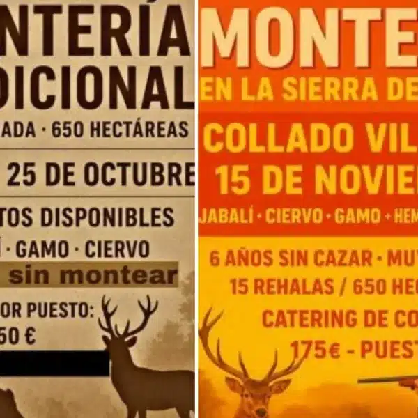 estafador monterías