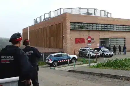 Investigación peste porcina