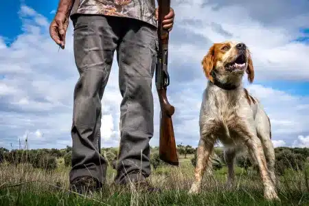 Cazador con su perro