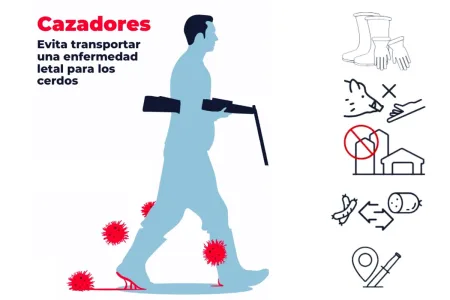 Así deben actuar los cazadores y equipos de campo ante la peste porcina africana detectada en jabalíes de Barcelona