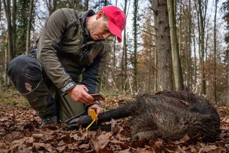 Un cazador junto a un jabalí.