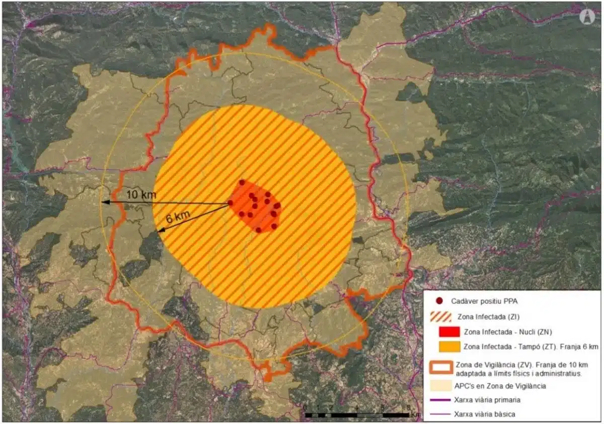 Ejemplo de adaptación del límite de la Zona de Vigilancia a la red viaria ya los límites de las Áreas Privadas de Caza (APC).