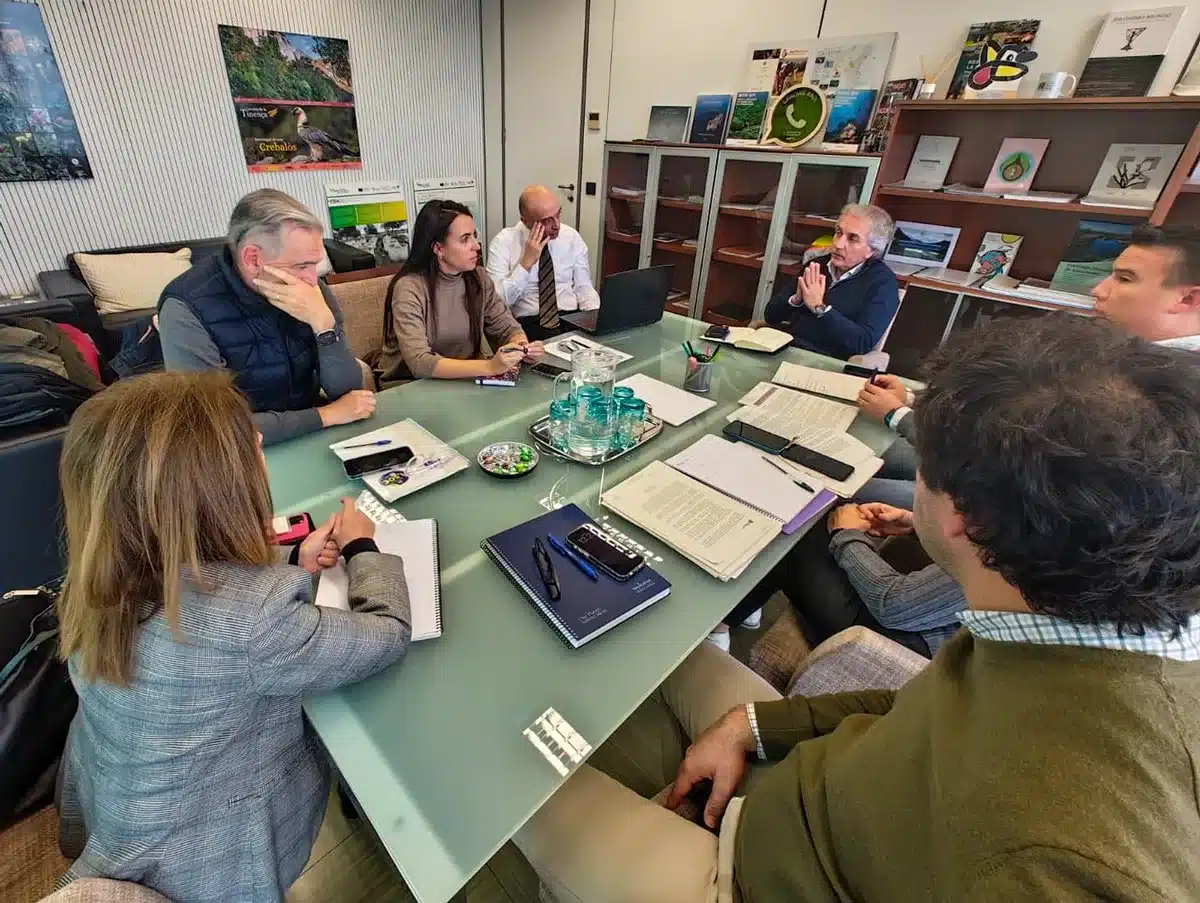 Imagen de la reunión. 