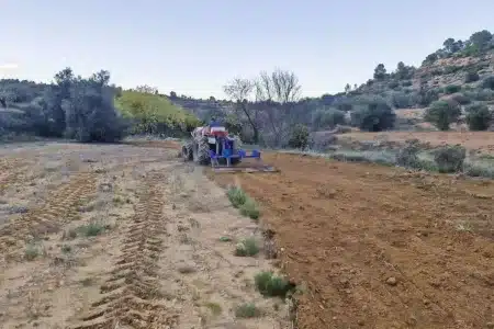 Trabajos cazadores medio natural 2025