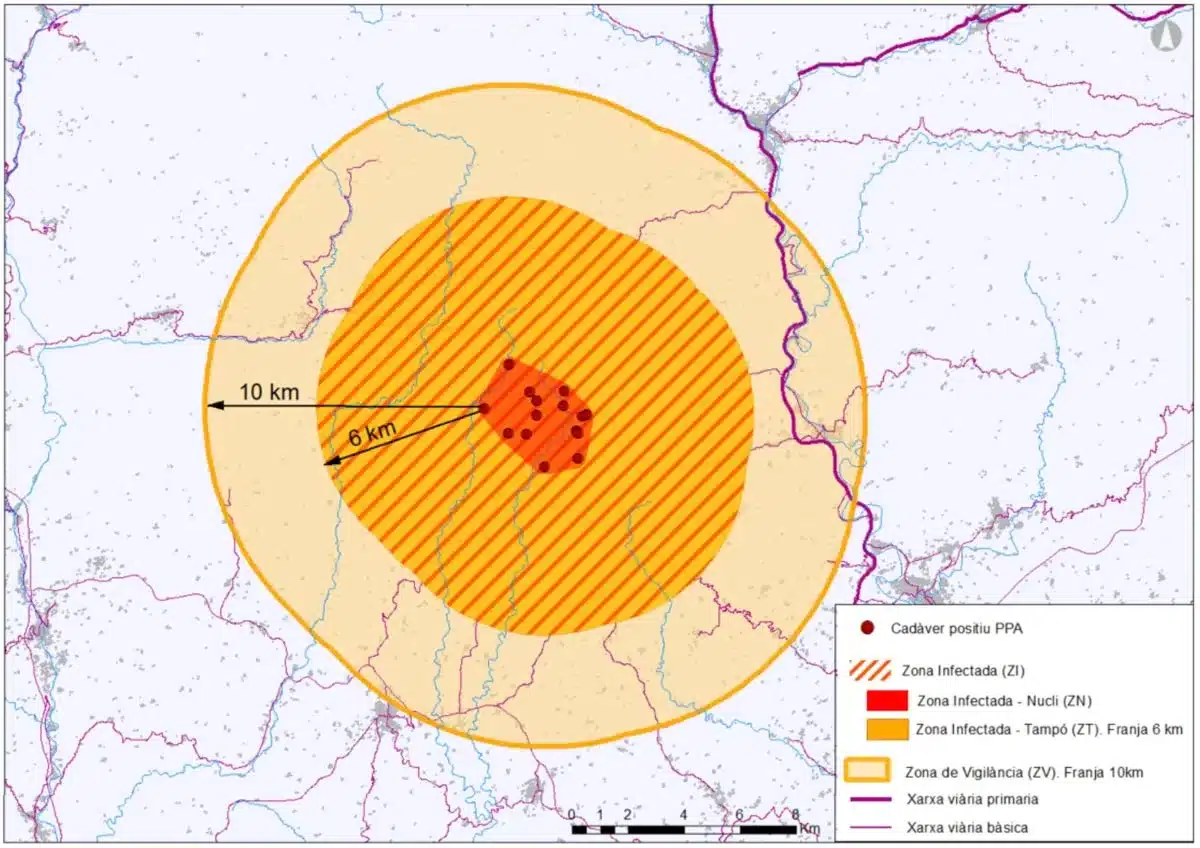 Esquema de zonas afectadas por PPA. La Zona Infectada incluye lugares en los que se hayan detectado individuos positivos en PPA (Zona Núcleo) y los terrenos comprendidos en una franja de 6 km a su alrededor (Zona Tampó). La Zona de Vigilancia incluye los terrenos comprendidos entre la Zona Infectada y una franja de 10 km en torno a la Zona Núcleo.