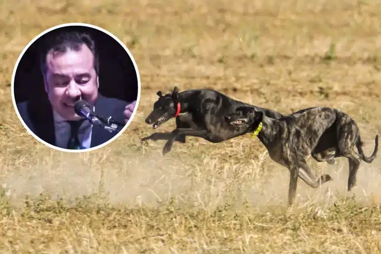 10 mandamientos del galguero de José León