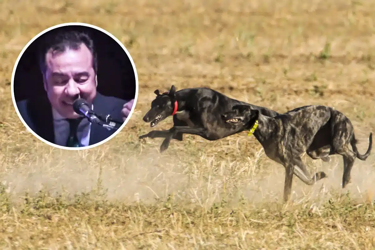 10 mandamientos del galguero de José León