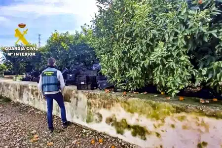 agricultor denunciado nectarinas