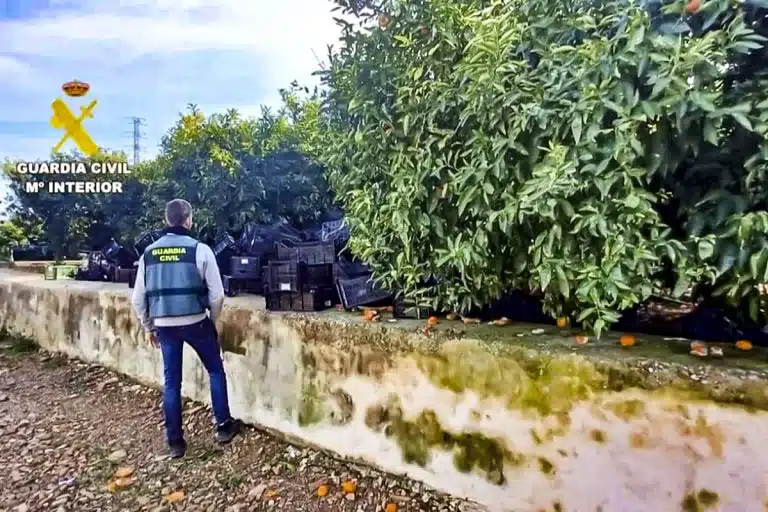 agricultor denunciado nectarinas