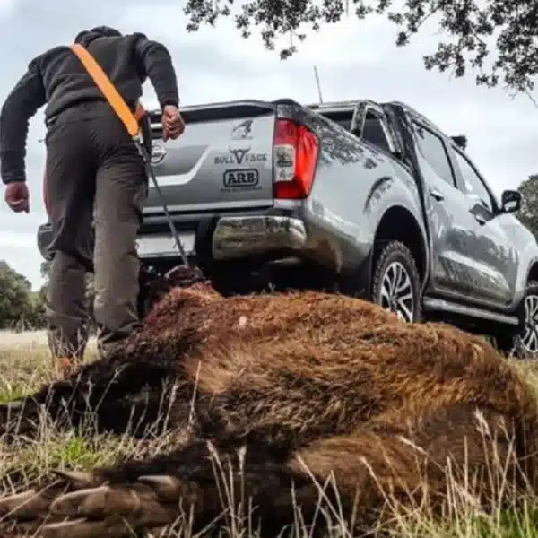 correa sacar piezas del monte