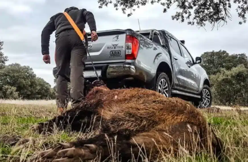 correa sacar piezas del monte