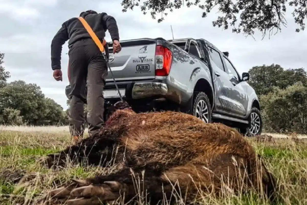 correa sacar piezas del monte
